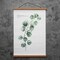 FALAMON Magnetic Poster Hanger Frame, 12x16 12x18 12x24 Teak Wood Magnet Poster Frame for Posters, Prints, Photos, Pictures, Maps, Scrolls, and Canvas Artwork